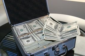 case with bundles of money