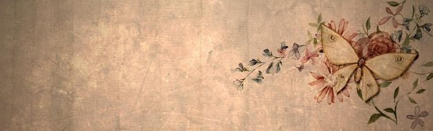 Butterfly Vintage Banner drawing