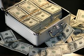 case with american dollars