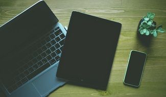 Laptop, tablet and office plant