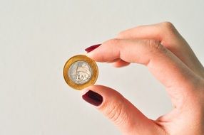 Hand holding brazilian currency coin