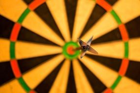 dart in the center of the target