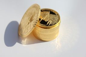 new gold coins