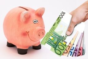 euro banknotes and piggy bank