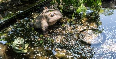Money in pond