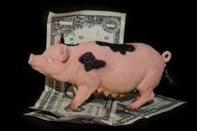 pig and a couple of dollars