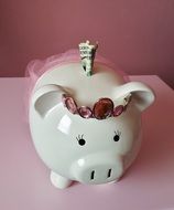piggy bank with banknote