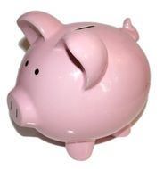 pink pig like a piggy bank