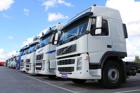white trucks are parked