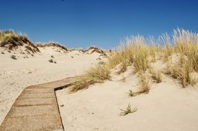 Path in the dessert