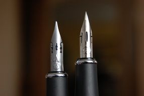 filigree fountain pen