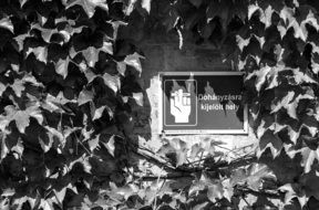 Smoking Place sign on wall overgrown with ivy
