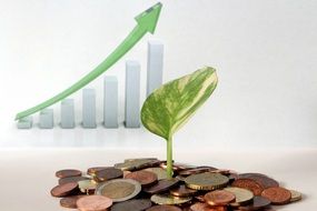Growth Economy Money drawing