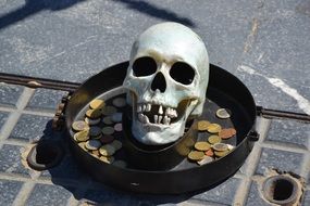 Skull and money
