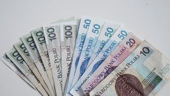 Polish money folded in the shape of a fan