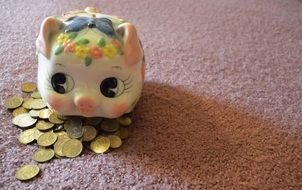 Piggy with the money