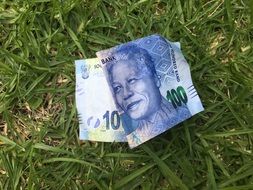 banknote on green grass