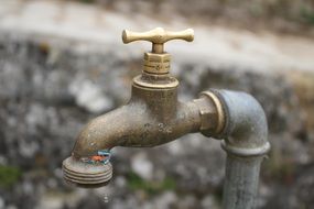 copper garden tap close-up on blurred background