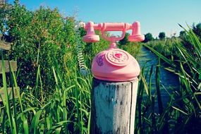 pink vintage phone among nature