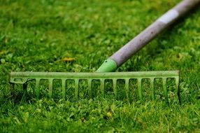 rake on green grass close-up