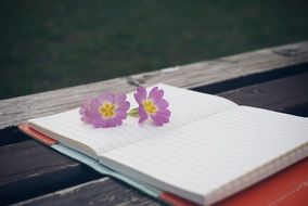 Notebook and flowers are on the wooden bench