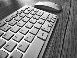 Keyboard and Mouse black and white