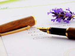 stylish fountain pen