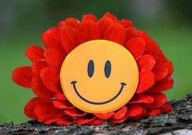 Smile in red Flower