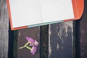 notebook on the wooden bench