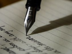 Writing Write Fountain Pen