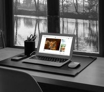 Laptop Computer on desk at window