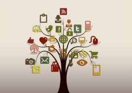drawn social network signs on a tree