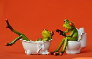 Two frogs in bathroom