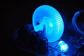 Blue electronic light