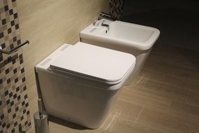 Bidet and toilet in the bathroom