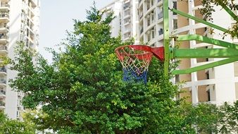 Spring Basketball