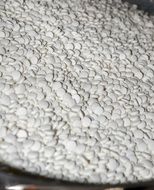 Drug Tablets