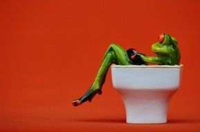 frog in a cozy chair