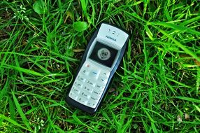 vintage Nokia Cellphone on grass