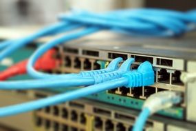 blue computer wires