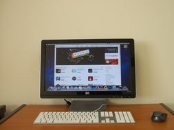website on monitor screen