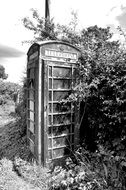 Phone Trees Irish