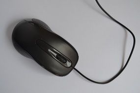 Black mouse for computer