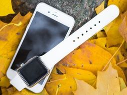 iPhone and Iwatch on the autumn leaves