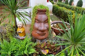 flower pots in the backyard garden