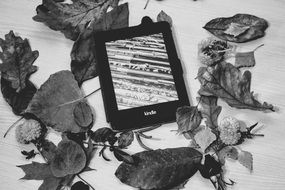 Kindle ebook in black and white