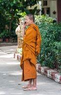 Monk Young Boy