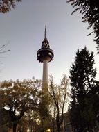 Tower in Park Madrid
