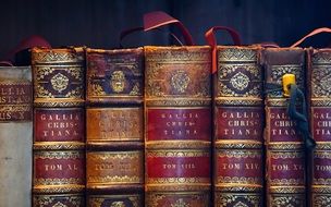 beautiful leather spines of Antique Books in row