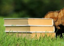 Close-up of the books on green grass